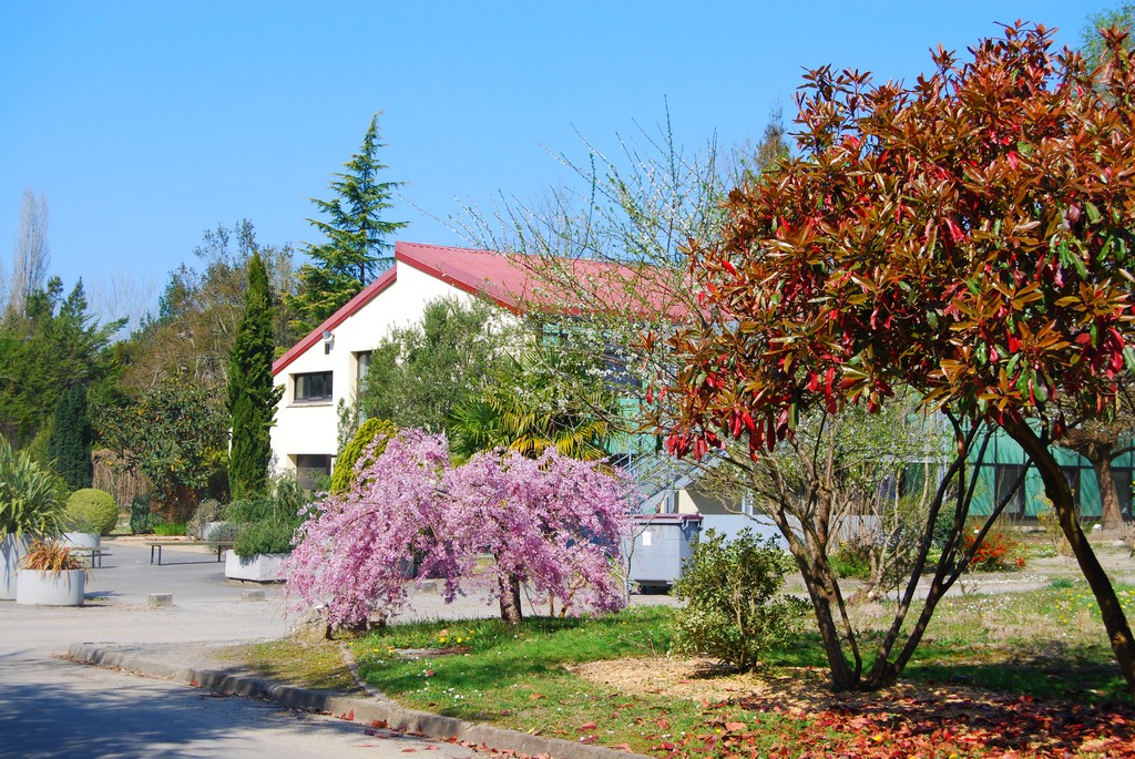 image/photo_centre/cfppa_des_landes_1_main.jpg