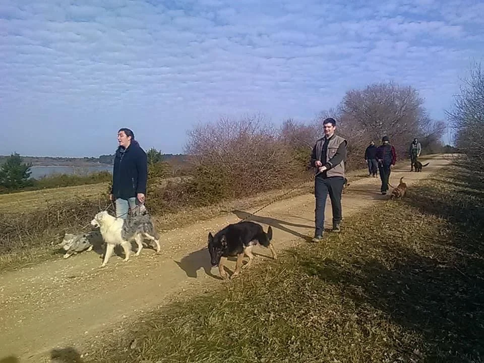 image/photo_centre/cfppa_des_landes_5.webp