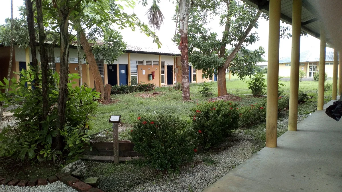 cfppa_guyane_1_main.webp