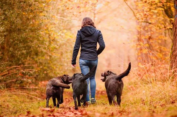 image/photo_centre/cfppa_rheu_8.webp