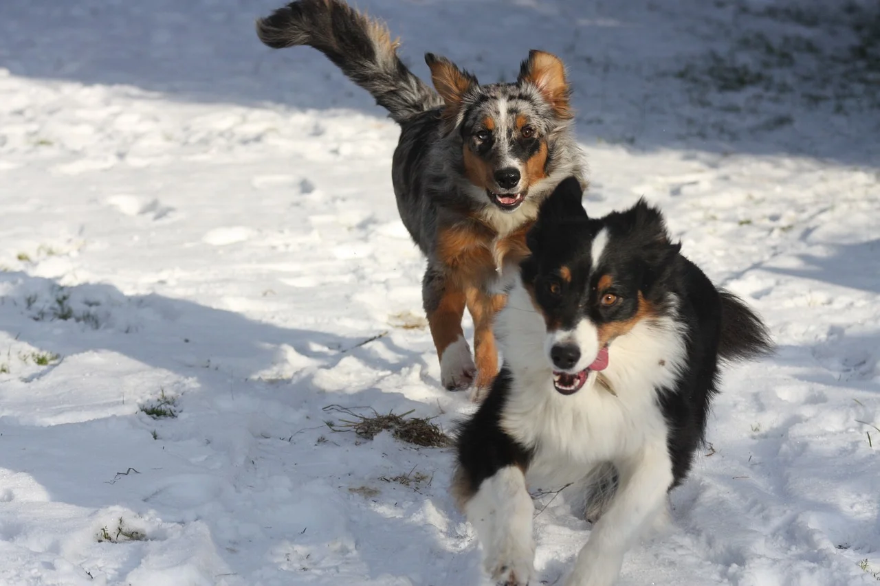 image/photo_centre/cfppa_rouffach_4.webp
